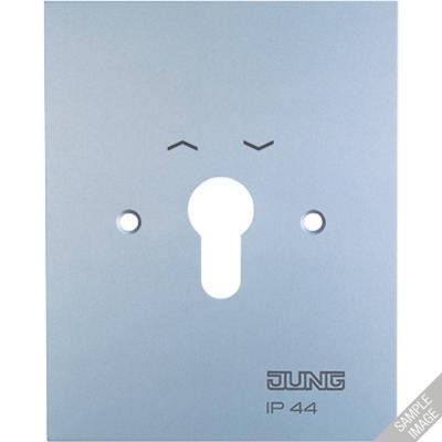 Płytka centralna - metalowa