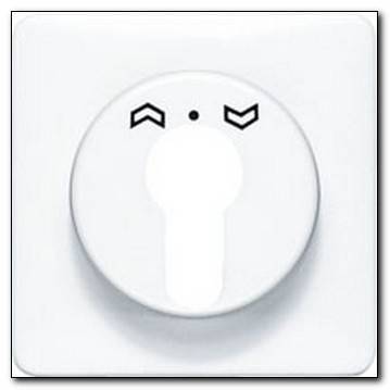 Płytka centralna mechanizmu zamka