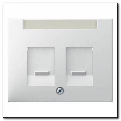 Element centralny podwójny z zasuwami chroniącymi przed kurzem z polem opisowym; śnieżnobiały; K.1 Numer katalogowy: 11827009