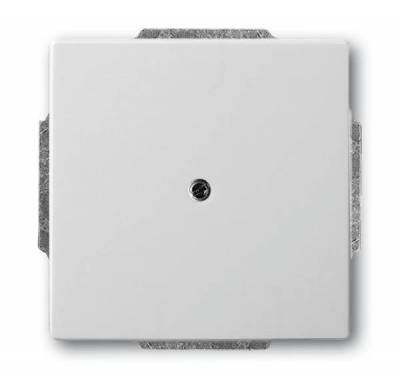 Pokrywa z pierścieniem nośnym