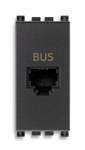 Gniazdo BUS RJ11, 1M, antracyt
