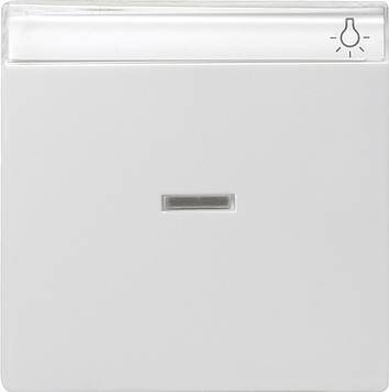 Klawisz kontrolny z polem opisowym System 55 biały