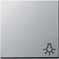 Klawisz symbol światła System 55 kolor alu
