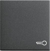 Klawisz symbol klucza System 55 antracytowy